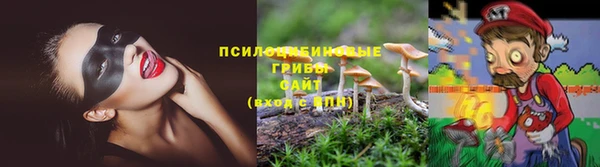 кокс Беломорск