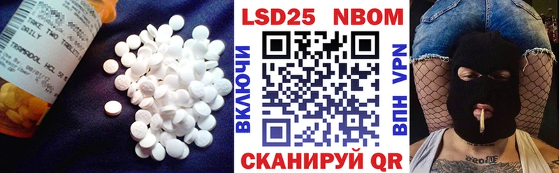 мега как войти Курильск LSD-25 экстази ecstasy