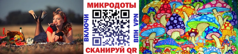 Псилоцибиновые грибы Cubensis  купить наркотик  Курильск 